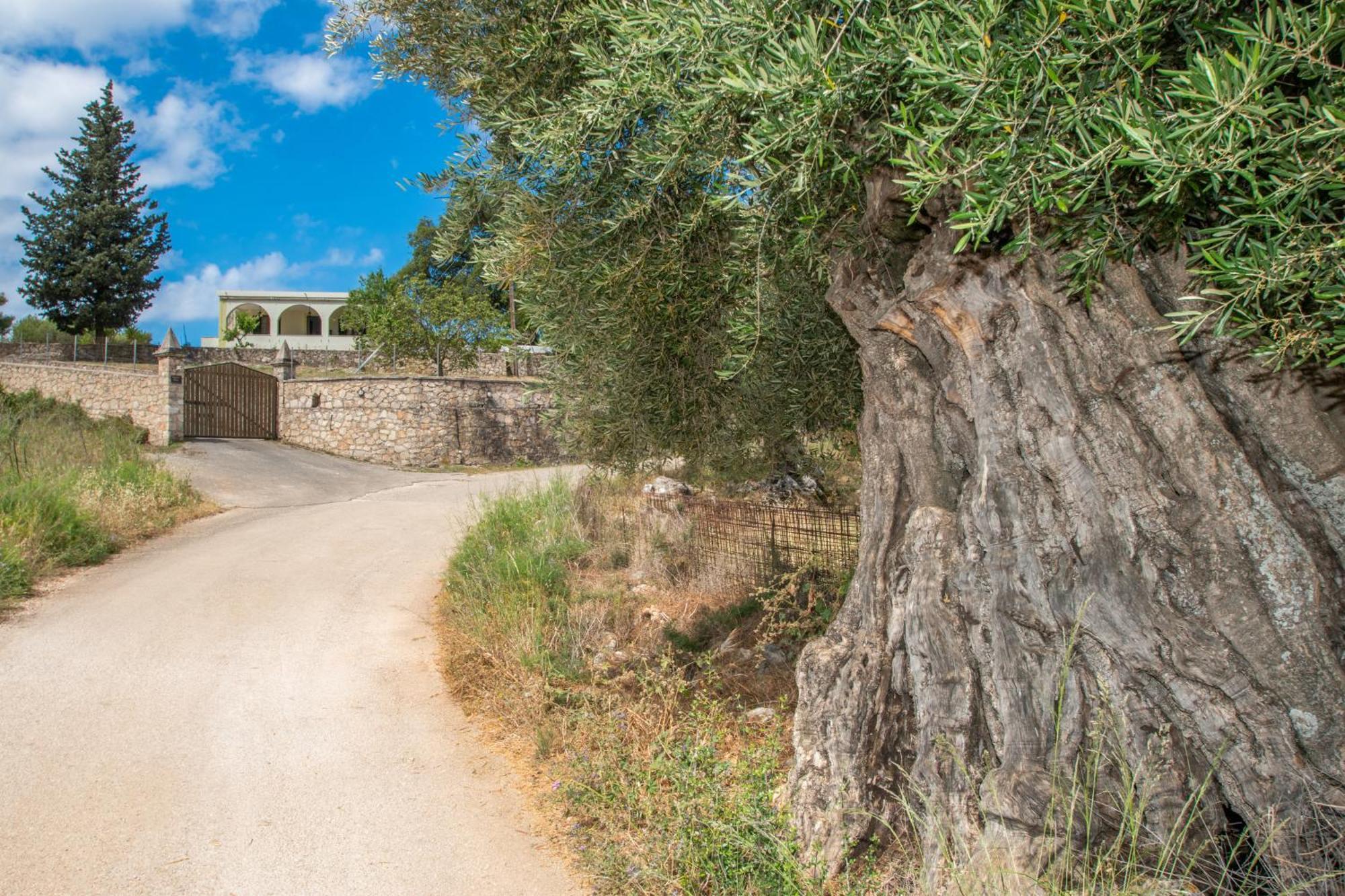 Tatil Evi Leandros Private House Near Shipwreck By 
